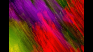 FLOWER E MOTION