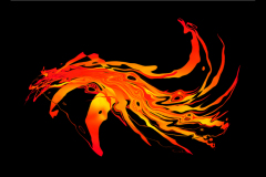 FIRE DRAGON