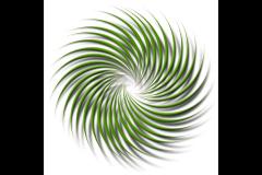 GREEN SPINNER