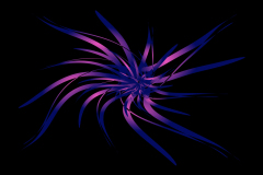SPACE FLOWER