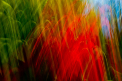 FLOWER E MOTION O12