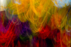 FLOWER E MOTION 07
