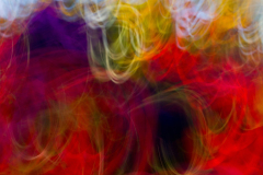 FLOWER E MOTION 08