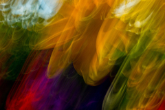 FLOWER E MOTION 09