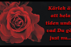 KÄRLEK