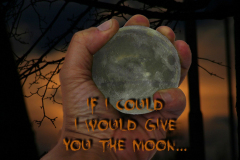 MOON IN HAND