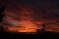 SUNSETS 02