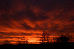 SUNSETS 01