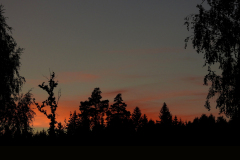 SUNSETS 03