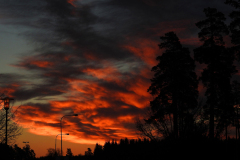 SUNSETS 05