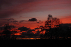 SUNSETS 07