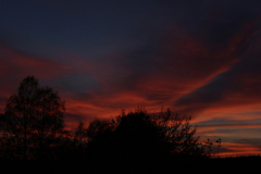 SUNSETS 06