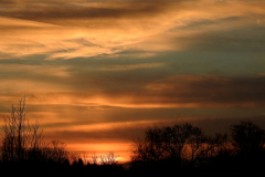 SUNSETS 09