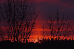 SUNSETS 010