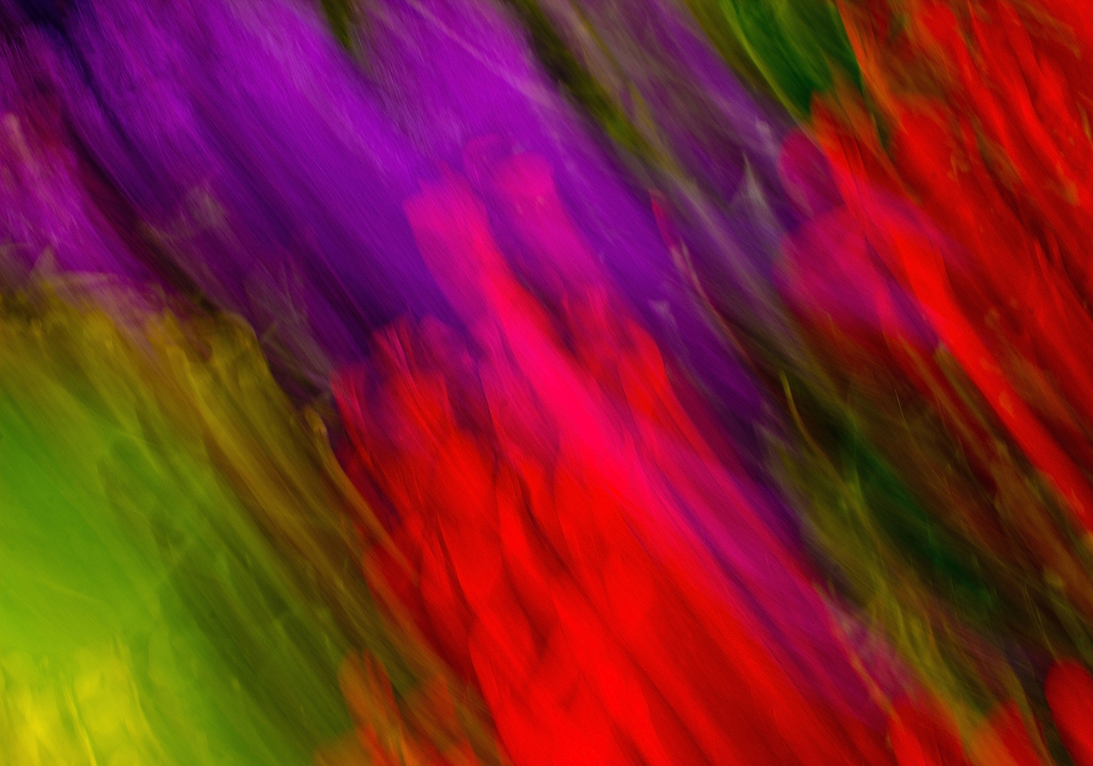 Flower e-motion