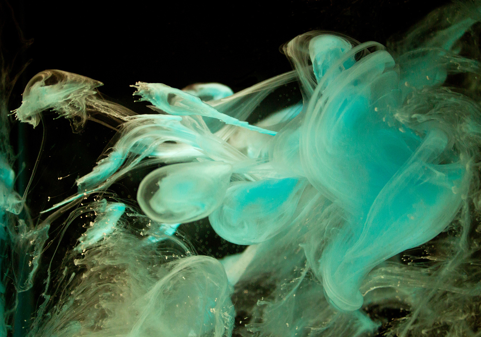 Water color sculptures